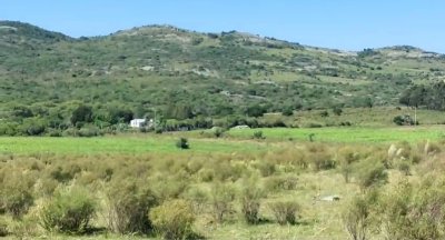 VENTA - 5 Hectareas Los Caracoles