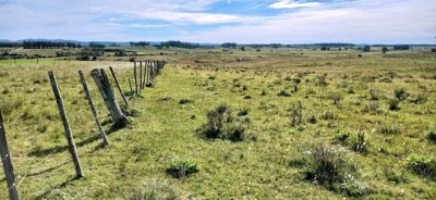 VENTA - Chacra en zona de Bodegas Garzón