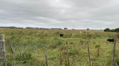 VENTA - Chacra en Rocha