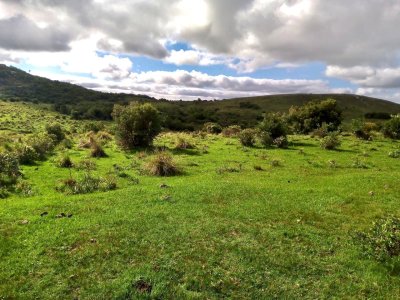 VENTA - Campo 78 hectareas en Garzon