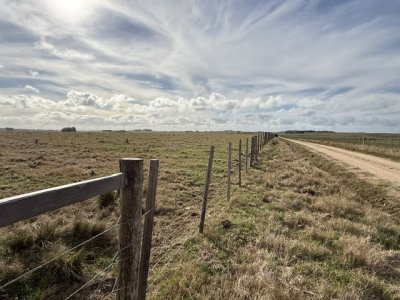 VENTA - Campo 655 hectáreas cercano a Velazquez