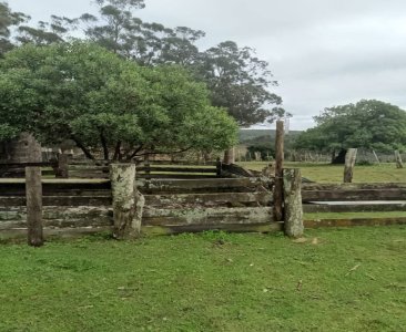 VENTA - Campo Ganadero-Forestal de 176 hectáreas - Castillos, Rocha