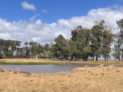 VENTA - Campo 754 hectáreas - Rocha