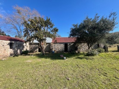 VENTA - Campo 79 hectareas ruta 109