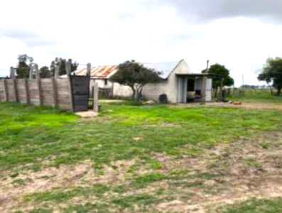 VENTA -Campo en Rocha 690 hectáreas 