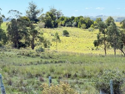 VENTA - Campo 372 hectáreas en Piedras Blancas, Rocha