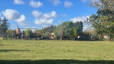 VENTA - Campo de 89 hectáreas en Maldonado