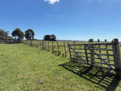 VENTA - Campo 316 hectareas en Garzon, Rocha