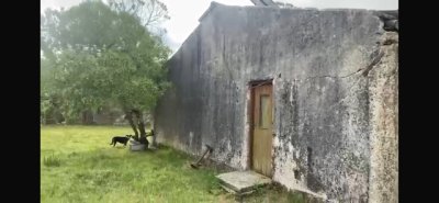 VENTA - 124 HAS CASTILLOS