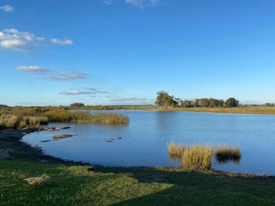 VENTA - Campo 890 has Agricolas - Ganaderas en Cerro Largo