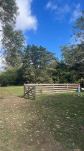 VENTA - Campo 295 hectáreas en 19 de Abril - Rocha