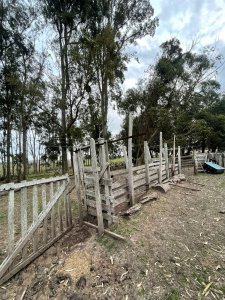 VENTA - Campo 208 hectareas en La Coronilla