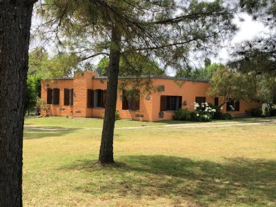 VENTA - Campo de 89 hectáreas en Maldonado