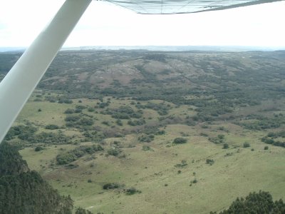 VENTA - Campo 600 hectáreas Rocha - PROYECTO FORESTAL