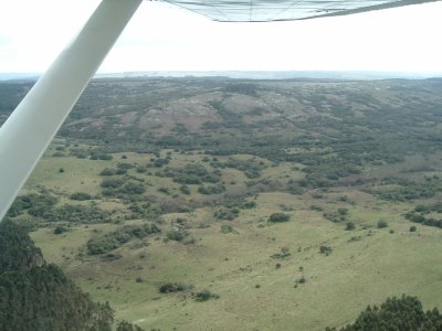 VENTA - Campo 600 hectáreas Rocha