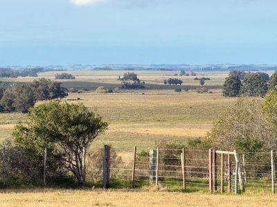 VENTA - Campo 358 hectáreas en Garzón, Rocha
