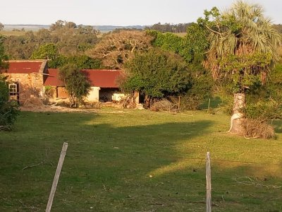 VENTA - Campo 106 hectareas - Castillos