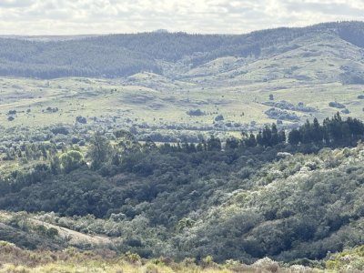 VENTA - Campo 372 hectáreas en Piedras Blancas, Rocha