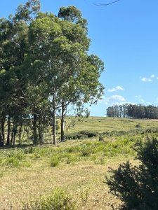 VENTA - 112 has Rocha Castillos