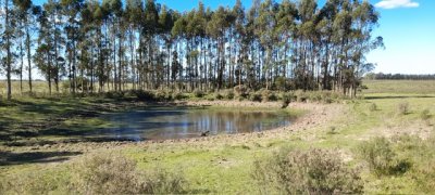 VENTA - Campo de 83 hectáreas en Maldonado