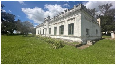 VENTA - Campo 1228 hectareas - Treinta y Tres