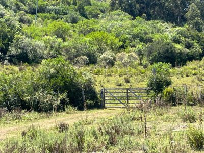 VENTA - Campo 49 hectareas Pan de Azucar
