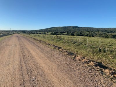 VENTA - Campo 419 has ganaderas Rocha