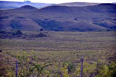 VENTA - Campo 3384 hectáreas - Tacuarembo