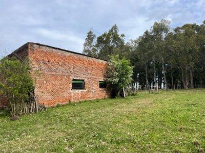 VENTA - Campo 138 hectareas en Castillos Rocha