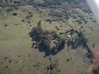 VENTA - Campo 600 hectáreas Rocha - PROYECTO FORESTAL