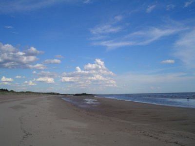 Venta Chacra 5 hectáreas en Juan Lacaze, con playa propia!  