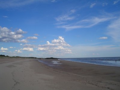 Venta Chacra 5 hectáreas en Juan Lacaze, con playa propia!  