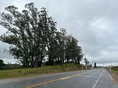 Venta terreno en intersección ruta 1 y ruta 54  