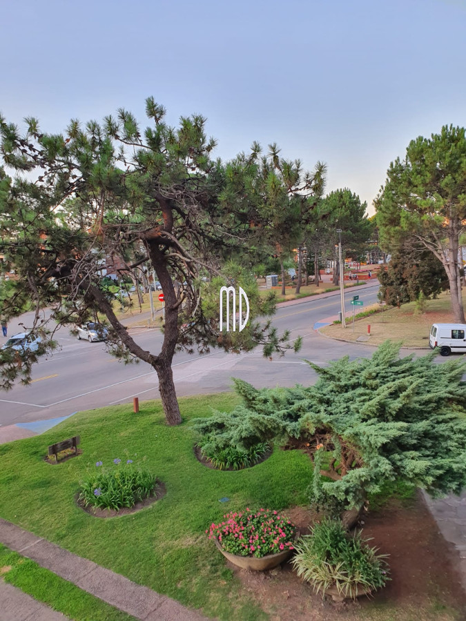 Aidy Grill - GoPunta - Portal Inmobiliario de Punta del Este - Maldonado