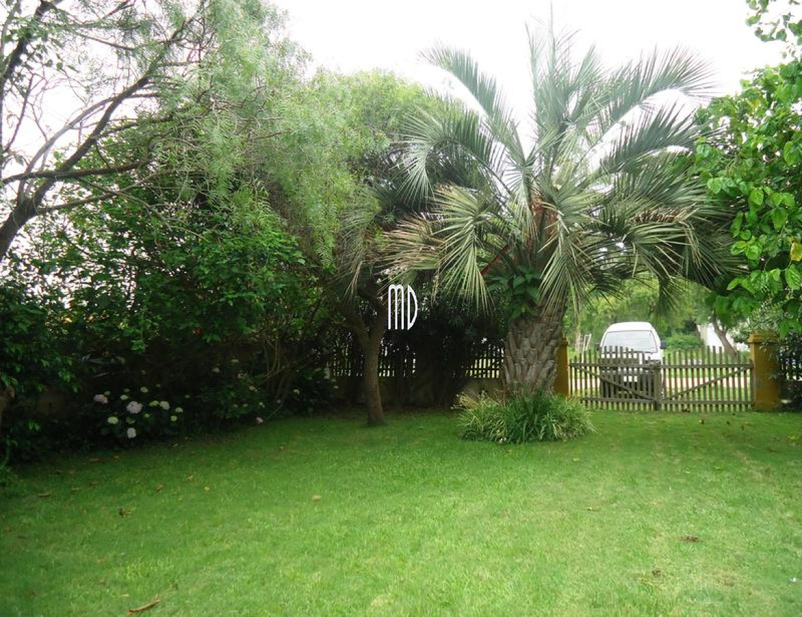 Balneario Buenos Aires - GoPunta - Portal Inmobiliario de Punta del Este - Maldonado