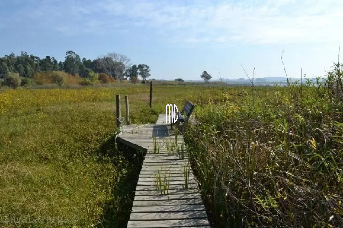 Laguna del Sauce - GoPunta - Portal Inmobiliario de Punta del Este - Maldonado