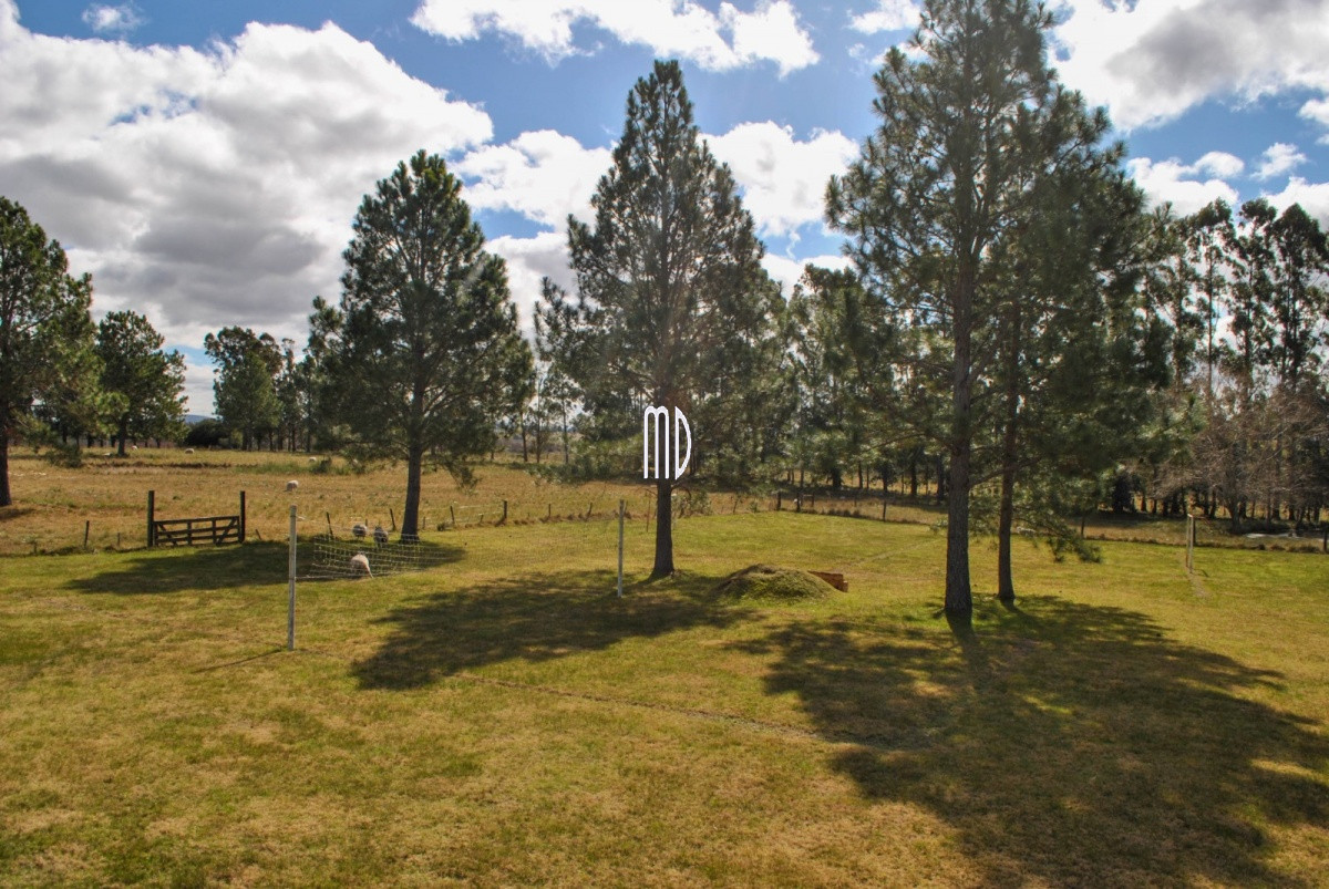 Espectacular chacra con un entorno único - GoPunta - Portal Inmobiliario de Punta del Este - Maldonado