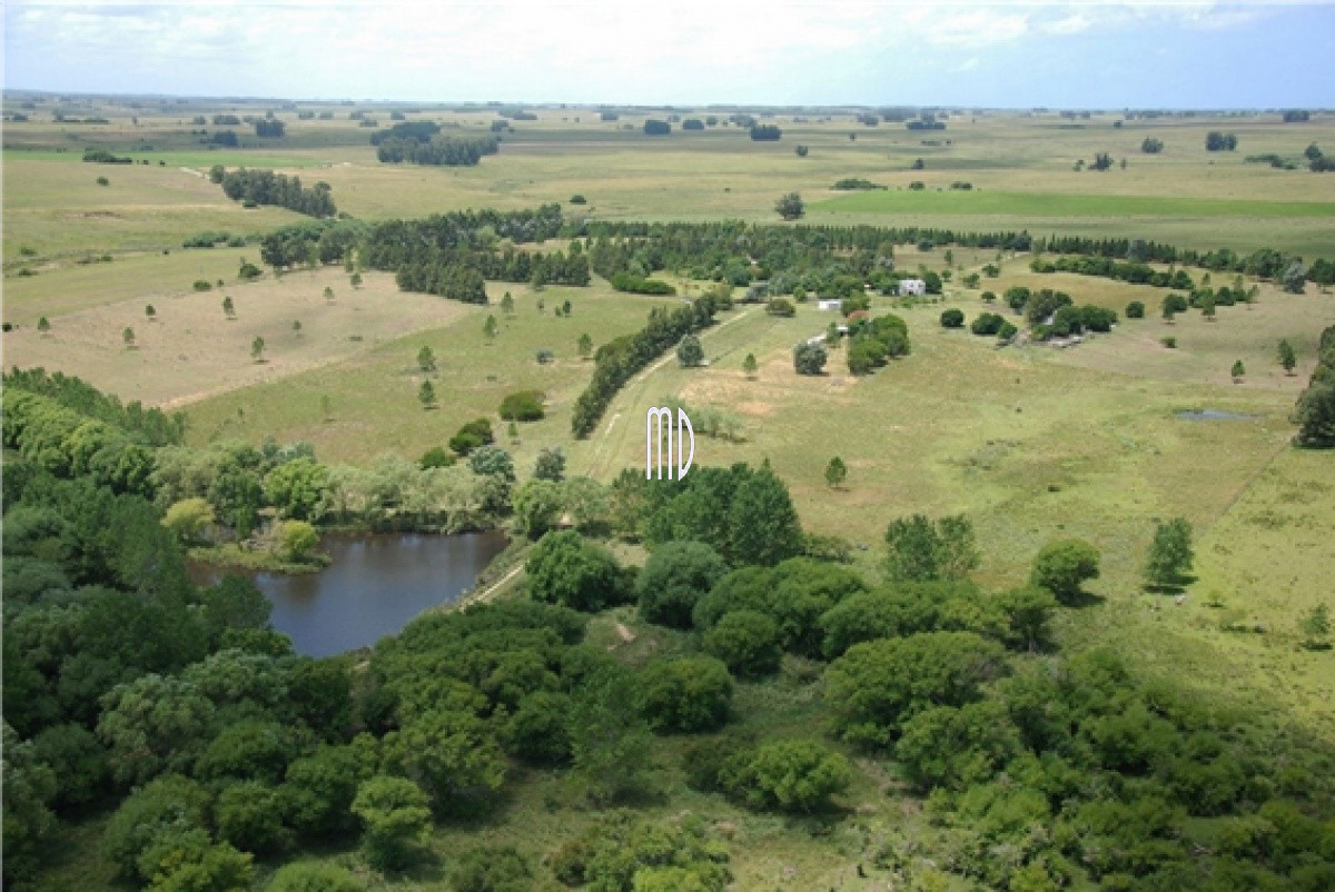 Ocho exclusiva y excepcionales chacras - GoPunta - Portal Inmobiliario de Punta del Este - Maldonado