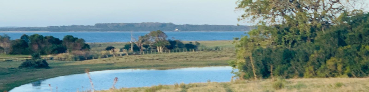 Chacra en Laguna Chica - Lote 2 REF(9373)