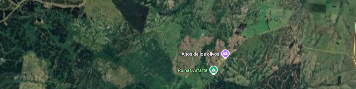 Campo Forestal en Rocha REF:9575