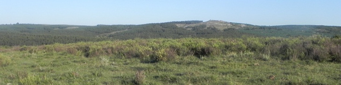 Oportunidad campo a 15 kmts de Rocha