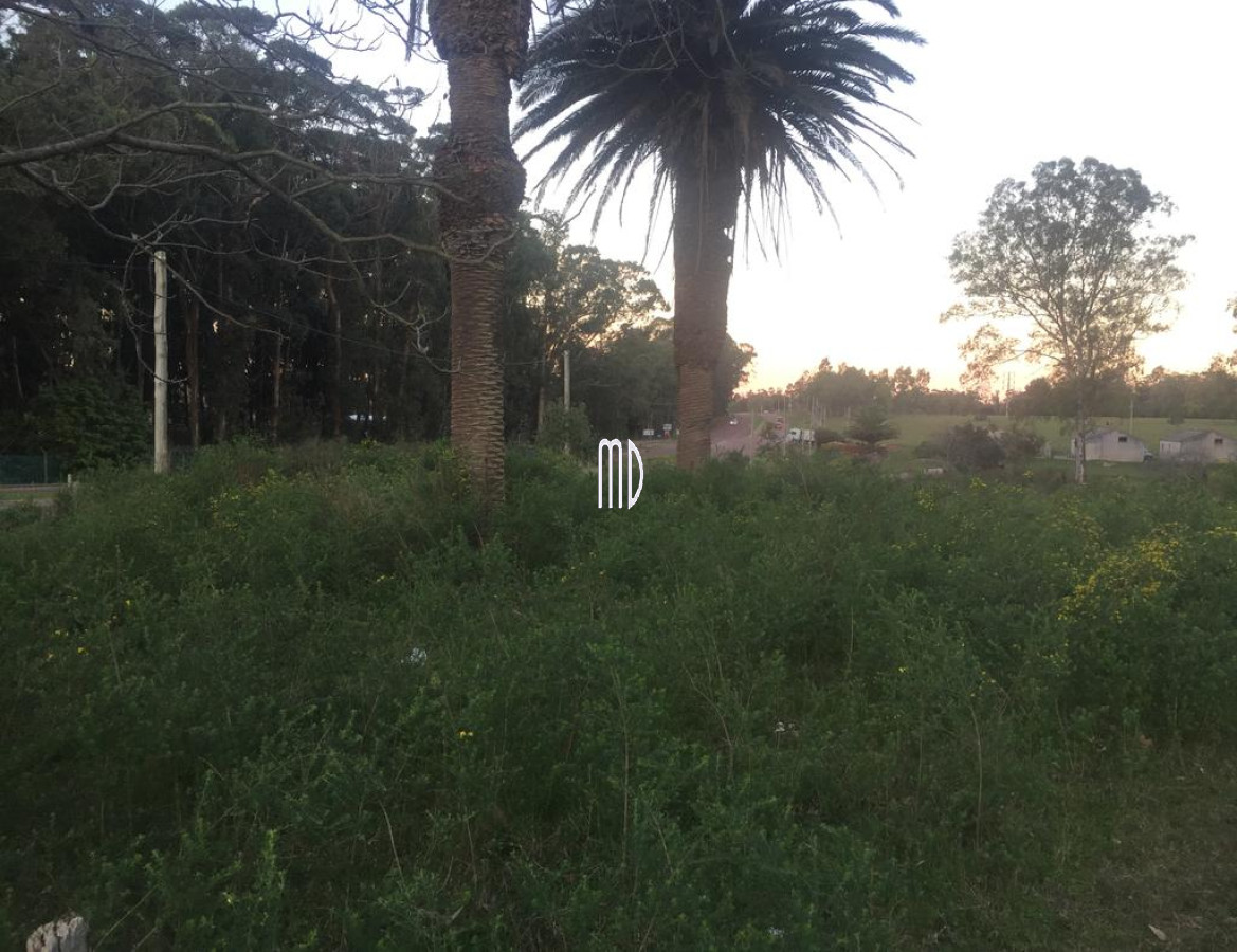 Maldonado - GoPunta - Portal Inmobiliario de Punta del Este - Maldonado