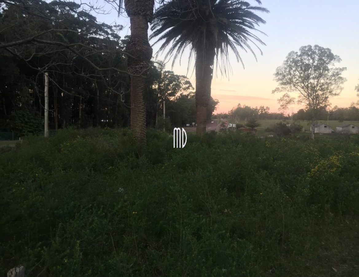 Maldonado - GoPunta - Portal Inmobiliario de Punta del Este - Maldonado