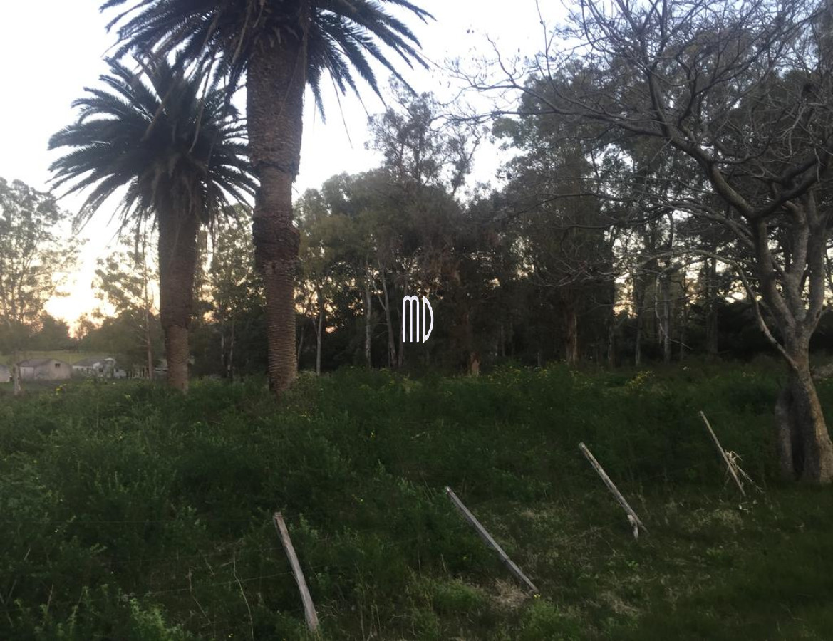 Maldonado - GoPunta - Portal Inmobiliario de Punta del Este - Maldonado