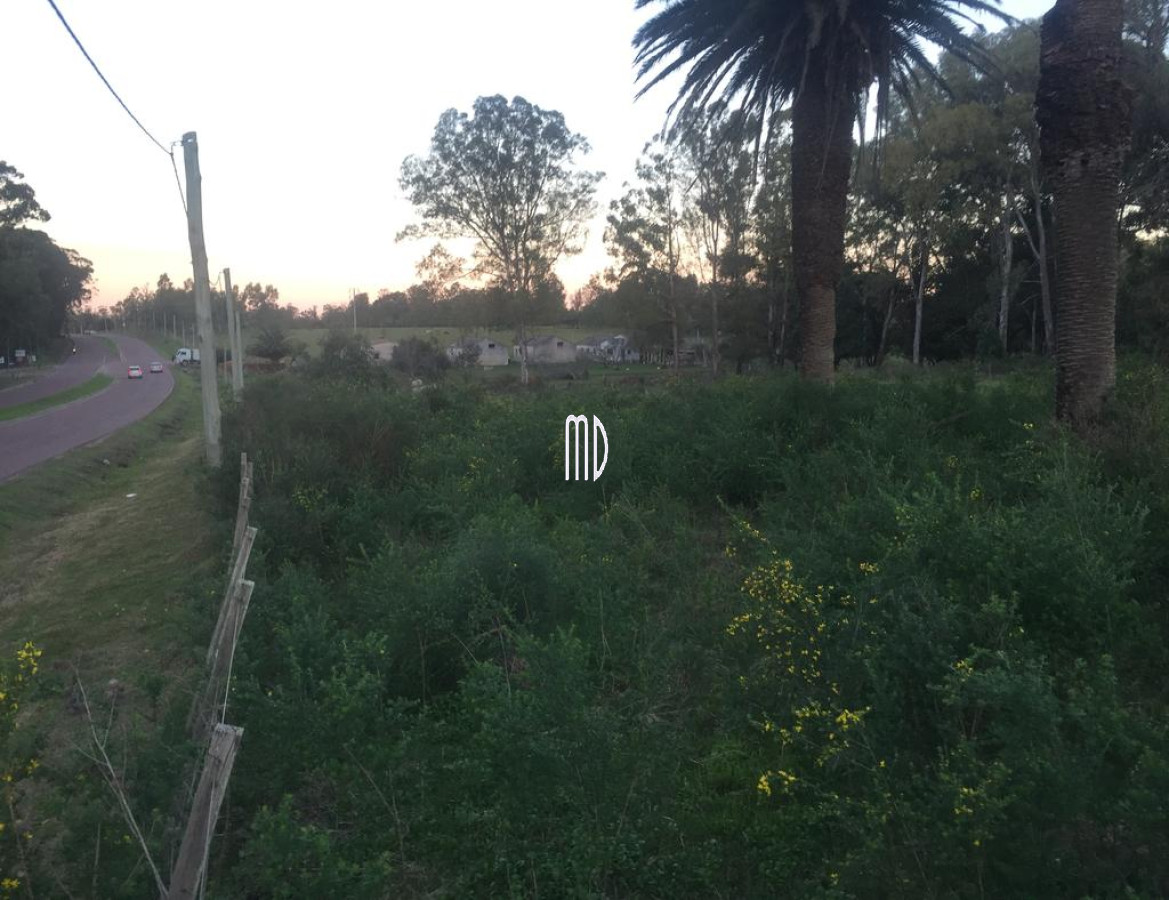 Maldonado - GoPunta - Portal Inmobiliario de Punta del Este - Maldonado