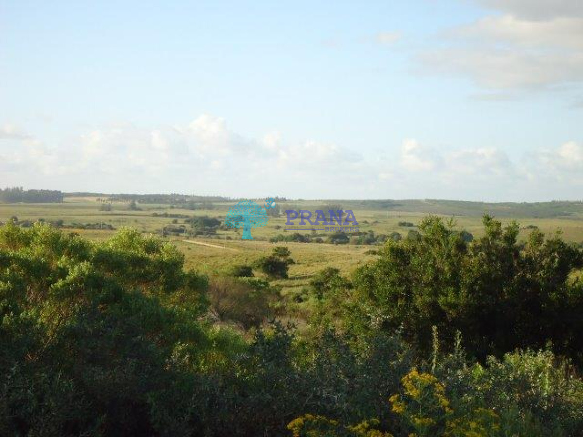 Garzon - GoPunta - Portal Inmobiliario de Punta del Este - Maldonado