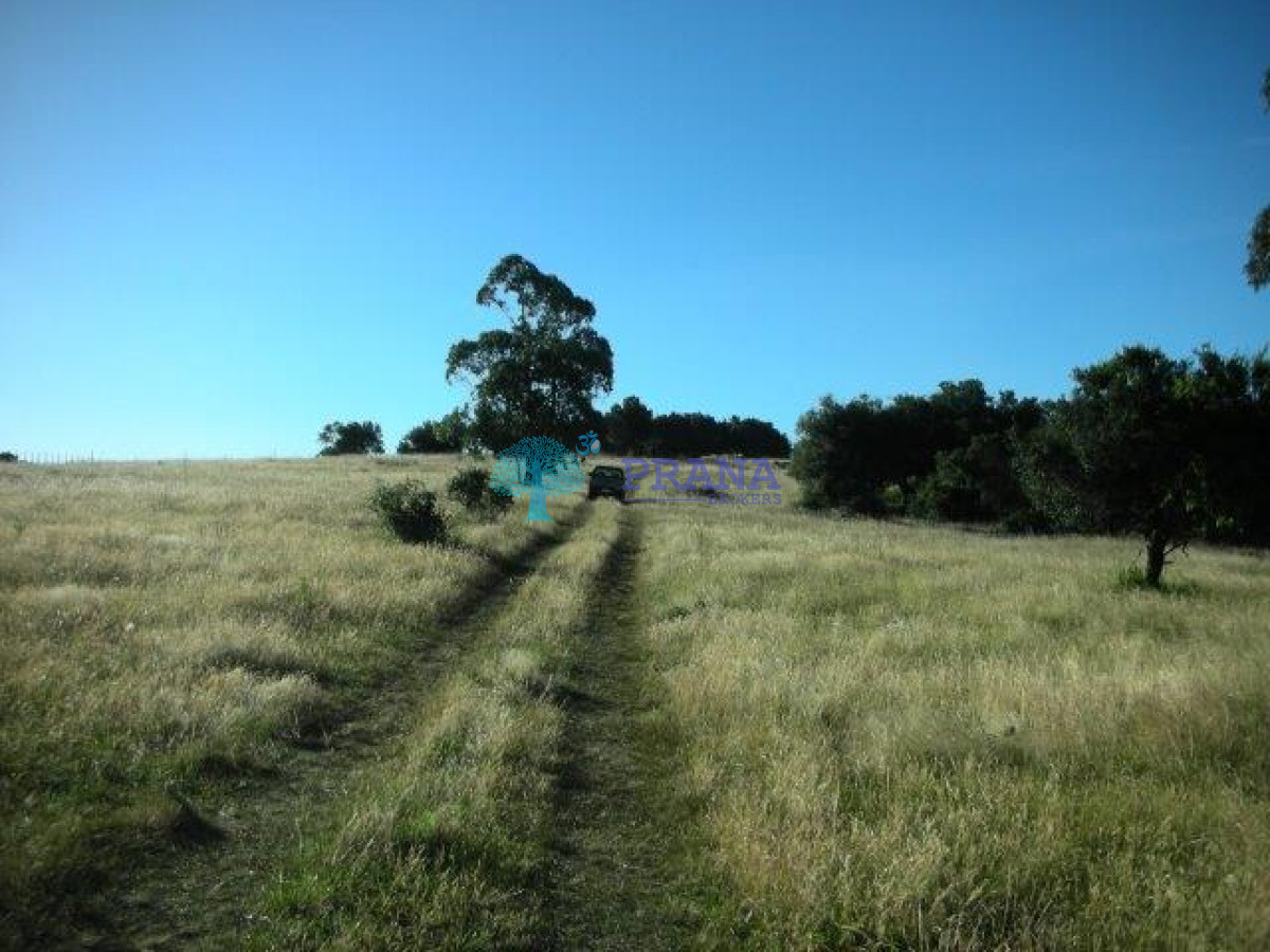 Garzon - GoPunta - Portal Inmobiliario de Punta del Este - Maldonado