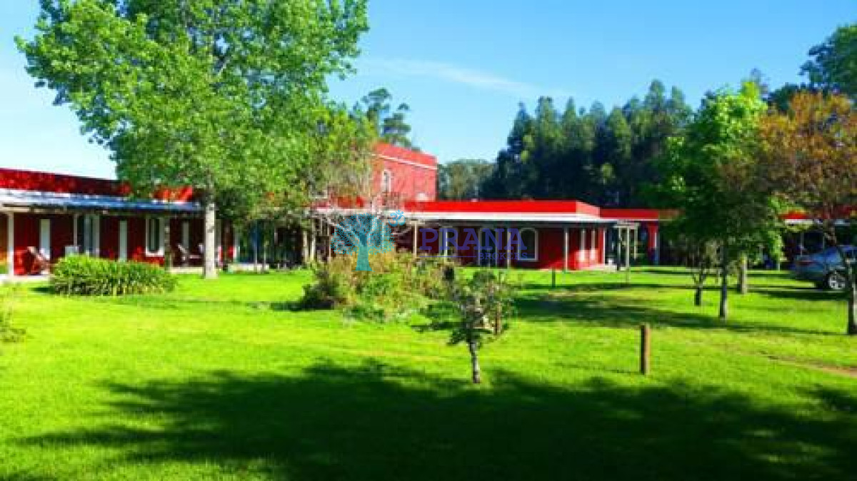Manantiales - GoPunta - Portal Inmobiliario de Punta del Este - Maldonado