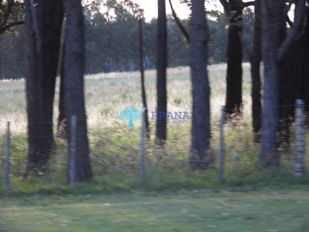 5 has Ruta 104 - GoPunta - Portal Inmobiliario de Punta del Este - Maldonado