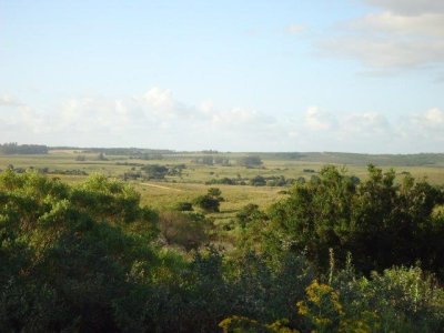 Se trata de una chacra ubicada entre Pueblo y Bodega Garzon con vista a olivares y viñedos.
Paisajes de sierras , hermosas vistas , corriente de agua
Arboles nativos
coronillas y algun eucaliptus 

ubicada a media hora de Jose Ignacio

tiene 2 casas ecologicas , panel solar , casco antiguo de 100 años 

multiples paisajes

ideal para plantacion de uvas y aceitunas 
